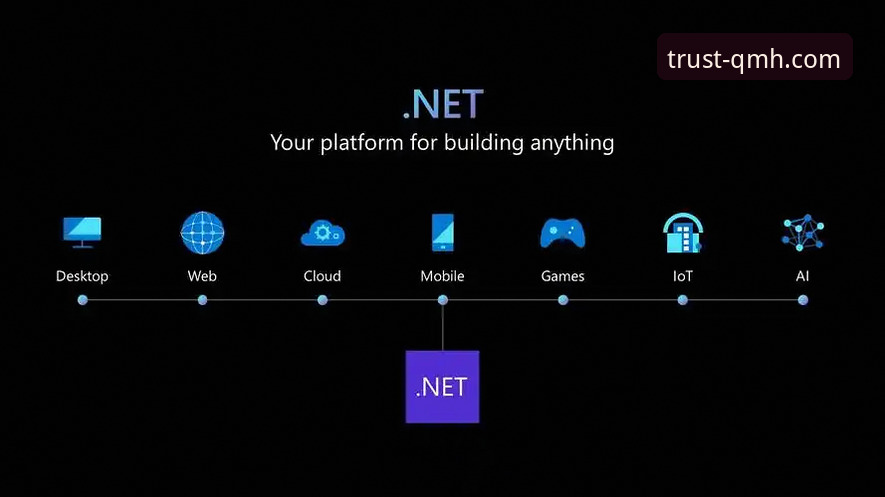 球盟会登录与平台生态详解